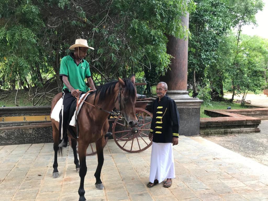 Hotel Aswadduma Dambulla